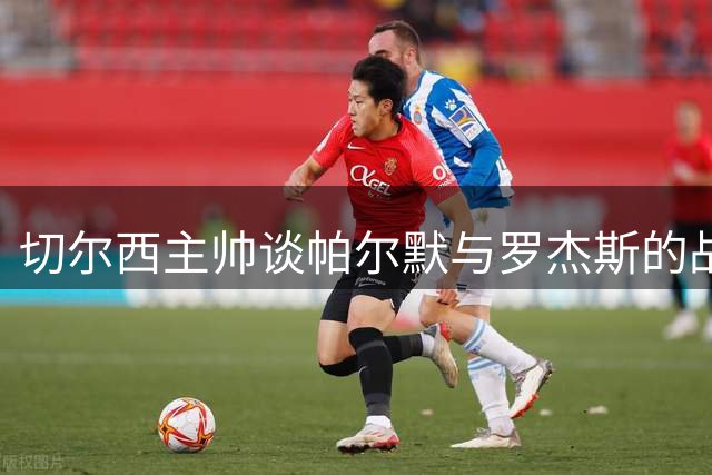 切尔西主帅谈帕尔默与罗杰斯的战术定位