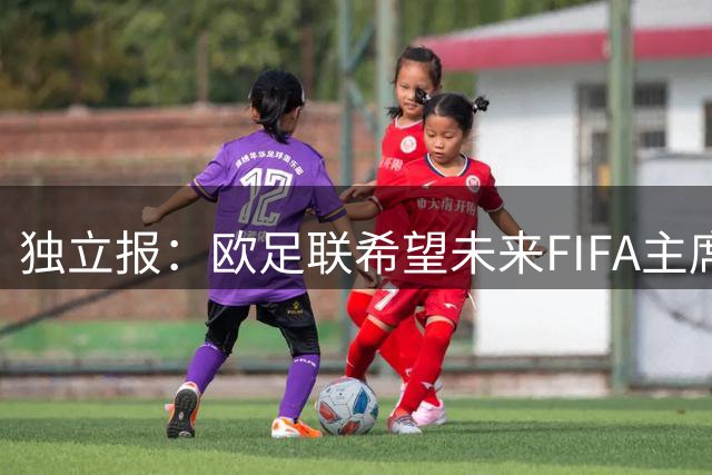 独立报：欧足联希望未来FIFA主席职位能够由各洲足联轮流担任